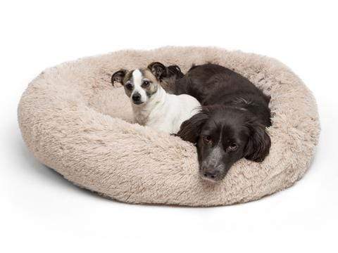 Lit pour Chien Confortable Grandes Races - Lavable en Machine et Design Apaisant