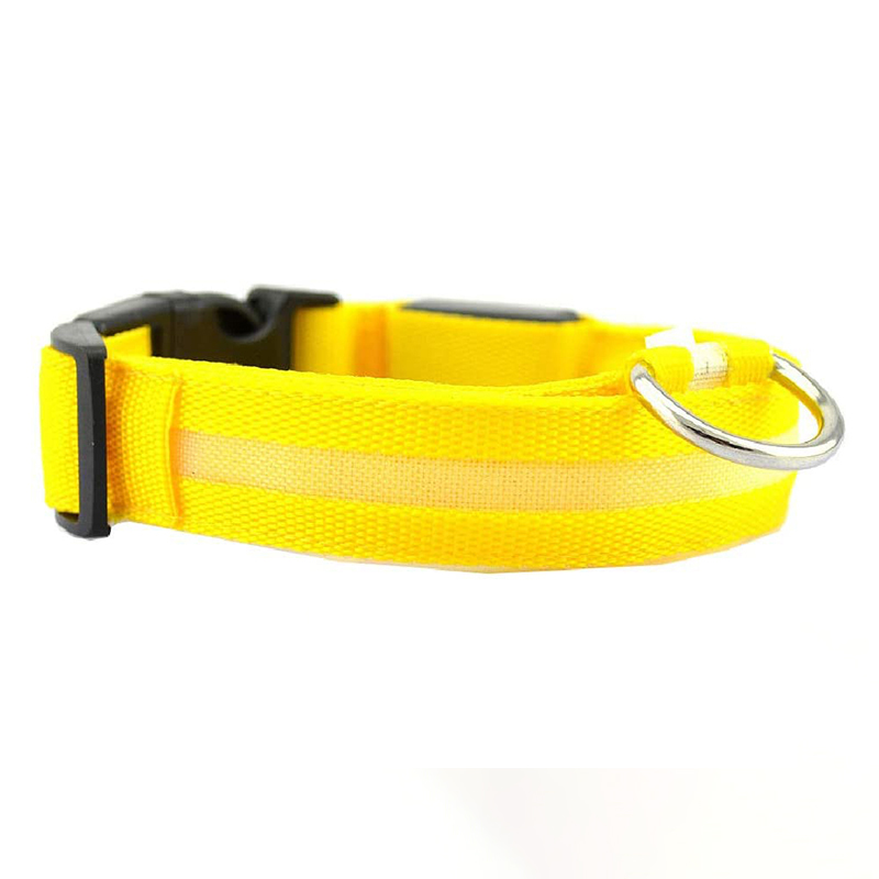 Collier Lumineux pour Animaux - LED Rechargeable, Résistant à l'Eau